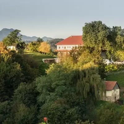 Panoramablick 360 Grad in den Weinbergen
