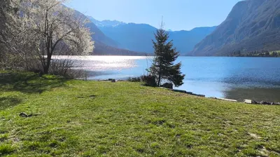 a grassy hill next to a body of water at Fresh romance by the river in Bohinj