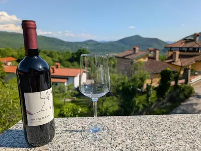 a bottle of wine and a glass on a table at Apartment Senik in Grgar