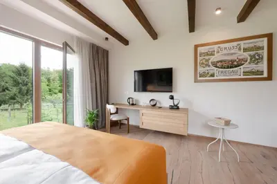 a bedroom with a bed and a desk and a tv at Hiša Marija House in Miklavž pri Ormožu