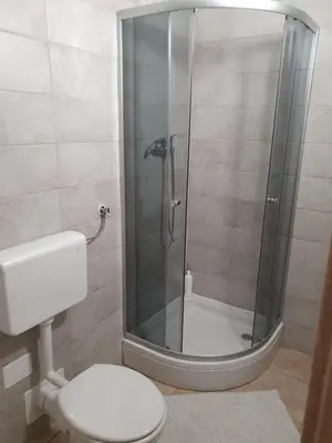 a bathroom with a shower with a white toilet at Apartment with one room-LUCIA in Selo