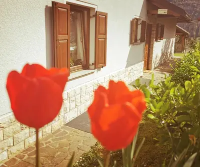 two red flowers in front of a house at Apartma Pri noni Silvi in Tolmin