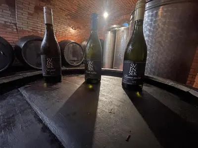 three bottles of wine sitting on a table at Zidanica Jakec in Podlehnik