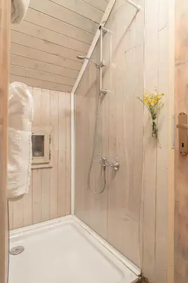 a shower with a glass door in a bathroom at Chalet Pehta Velika Planina in Stahovica