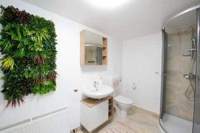 a bathroom with a toilet and a sink and a shower at Linasi Resort Slovenia in Nazarje
