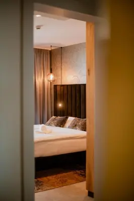 a bedroom with a bed in a room at Carolina Luxury Stay in Rogašovci