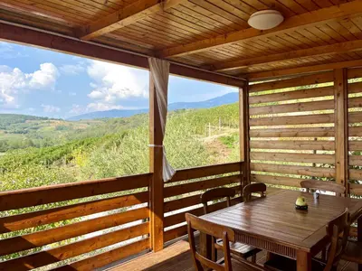 a dining room with a table and a view of the mountains at Saxida Wine Estate in Zalošče