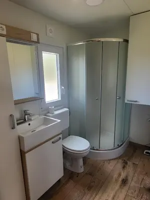 a bathroom with a toilet and a sink and a shower at Pavel Cottage with 2 Thermal Riviera Tickets in Moravske Toplice
