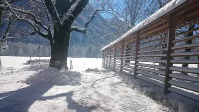 a wooden fence with a tree in the snow at Turisticna Kmetija Psnak in Mojstrana