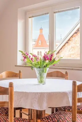 a vase of flowers sitting on a table in front of a window at Trubarjeva 12 - The view in Ljubljana