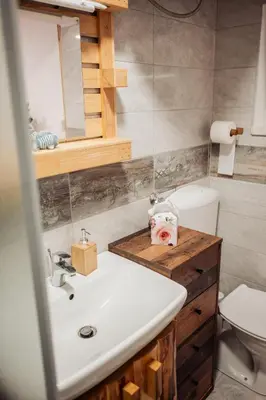 a bathroom with a sink and a toilet at Koča ob ribniku in Ponikva