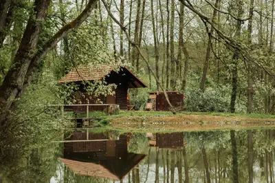 a cabin in the woods next to a body of water at Koča ob ribniku in Ponikva
