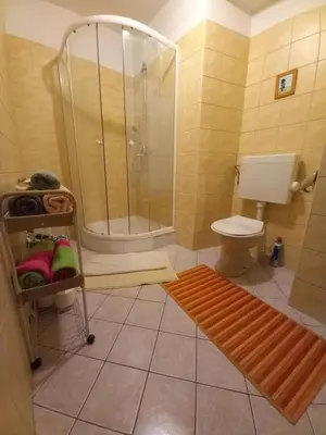 a bathroom with a shower and a toilet at Apartmaji Boka in Bovec
