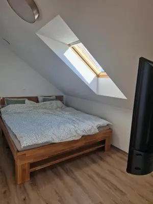 a bedroom with a bed and a skylight at Linden Retreat Apartments with Sauna in Spodnje Mestinje