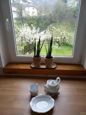 a table with a teapot and two plants and a window at apartma Aljaž in Spodnja Idrija