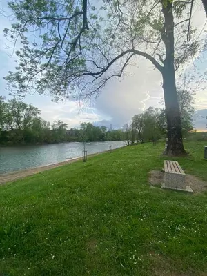 a park bench next to a tree next to a river at Apartma Tom in Metlika