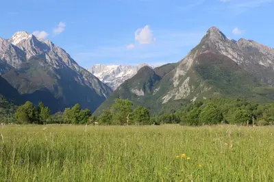 a field of grass with mountains in the background at Holiday Home Kristi in Bovec