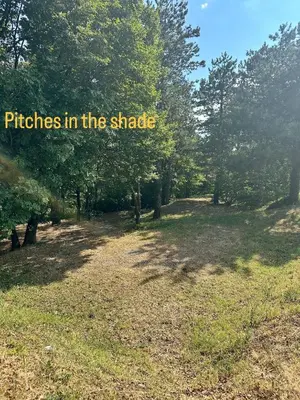 a field with trees and the words pitches in the shade at Kamp Tura- camping pitch only in Vipava