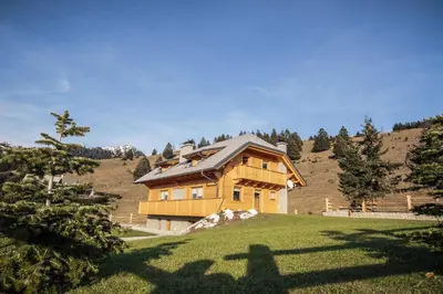 a wooden house on top of a grassy hill at Apartments Krvavec in Cerklje na Gorenjskem