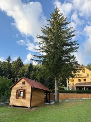 a small house with a tree in a yard at Vila Tin & Koča Tin in Prestranek