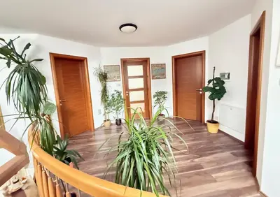 a hallway with potted plants and wooden floors at Vila Tin & Koča Tin in Prestranek
