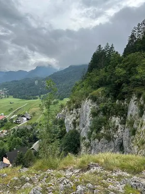 a view of a mountain with trees and a valley at Katja Cottage in Bohinjska Bela