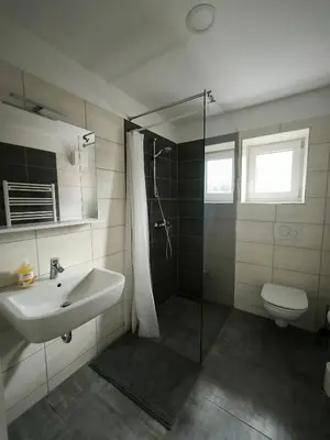 a bathroom with a sink and a shower and a toilet at Apartment Mina in Radovljica
