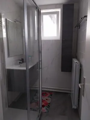 a bathroom with a shower and a sink at at Silva's place in Ptuj