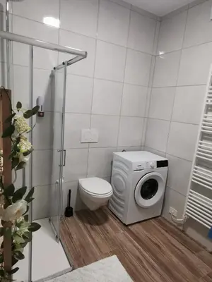 a bathroom with a washing machine and a toilet at Apartma Lipa in Veliki Gaber