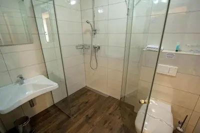 a bathroom with a shower and a sink at Smrekarjeva Domačija in Postojna