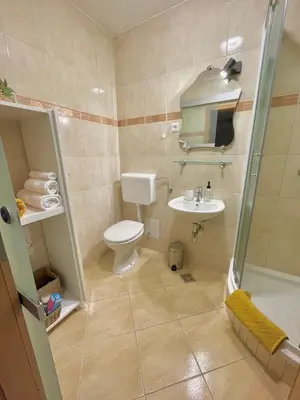 a bathroom with a toilet and a sink and a shower at Topel dom v središču mesta in Maribor