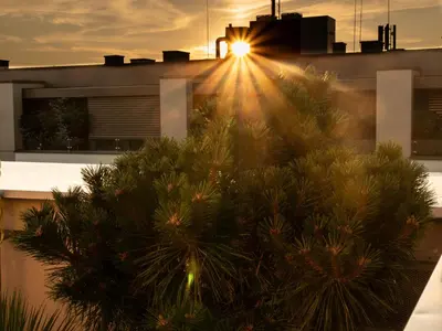 a building with a palm tree in front of the sunset at Pinia City Centre Modern Studio with Shared Bathroom in Ljubljana