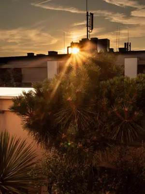 a sun setting over a city with palm trees at Pinia City Centre Modern Studio with Shared Bathroom in Ljubljana