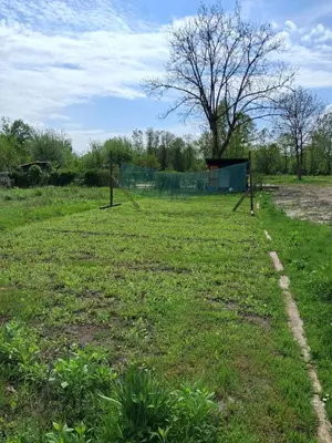a field with two poles in the grass at LAND FOR YOUR TENT NEXT TO A RIVER price includes lands in Croatia and Bosnia as well USE THE PINPOINT LOCATION AND NOT MY HOME ADDRESS BEBLERJEV TRG TO GET TO YOUR ACCOMMODATION bathroom is a bit different so check YouTube video DuskoThreeCountries in Ljubljana