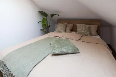 a bed with a green blanket on top of it at Lili Rooms in Stahovica