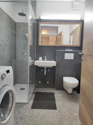 a bathroom with a toilet and a sink and a shower at MCS Metro Residence in Ljubljana