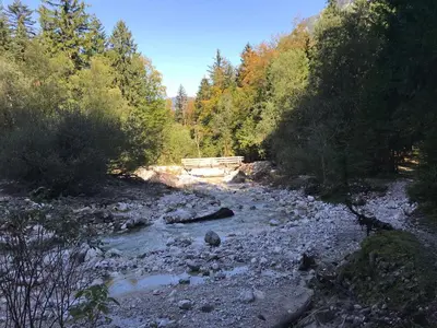 a river with rocks and a bridge in a forest at Planinski dom - Mihov dom na Vršiču in Kranjska Gora