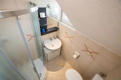 a small bathroom with a toilet and a sink at Apartmaji Daša & Anže in Bohinj