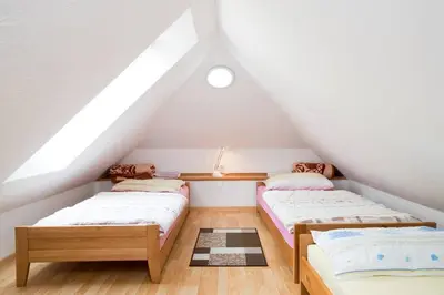 two beds in a attic bedroom with white ceilings at Apartmaji Daša & Anže in Bohinj