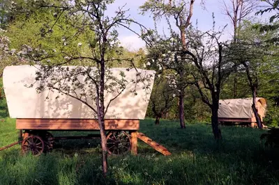 a wooden trailer in a field with a tree at Glamping Tlaka in Gornji Grad