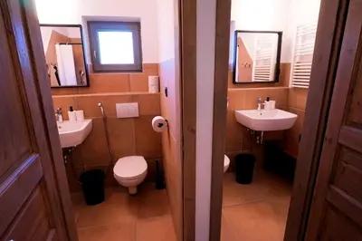 a bathroom with two sinks and a toilet and mirrors at Glamping Tlaka in Gornji Grad