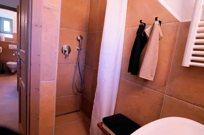 a bathroom with a shower and a toilet at Glamping Tlaka in Gornji Grad