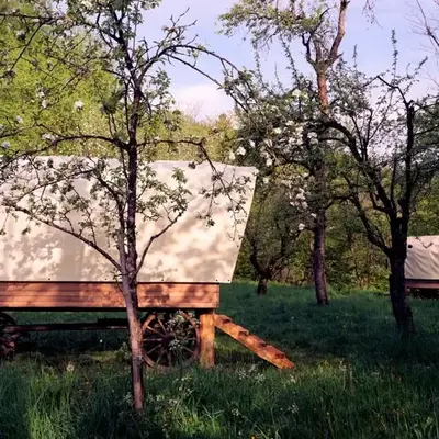 Glamping Tlaka