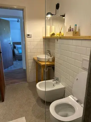 a bathroom with a toilet and a sink and a shower at Apartma Vrbnjak in Bohinj