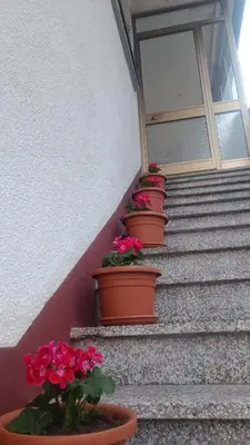 a row of flower pots on stairs with red flowers at Apartma Zora in Bovec
