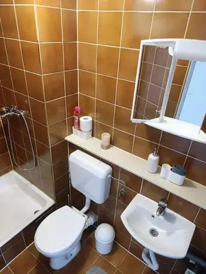 a bathroom with a toilet and a sink and a mirror at Renovated Apartment for Four in Ljubljana