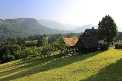 a house on a hill with mountains in the background at Sunset Valley Apartments and Rooms in Bohinj
