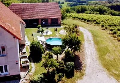 an aerial view of a house and a vineyard at Apartma Martin in Miklavž pri Ormožu