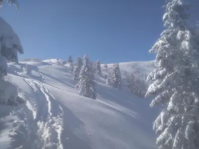 a snow covered slope with trees on a mountain at Gostilna Pension Blegoš in Poljane nad Škofjo Loko