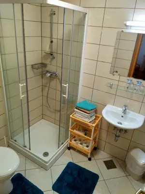 a bathroom with a shower and a sink at Gostilna Pension Blegoš in Poljane nad Škofjo Loko